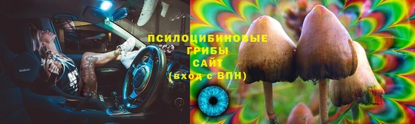 соль ск Алексеевка